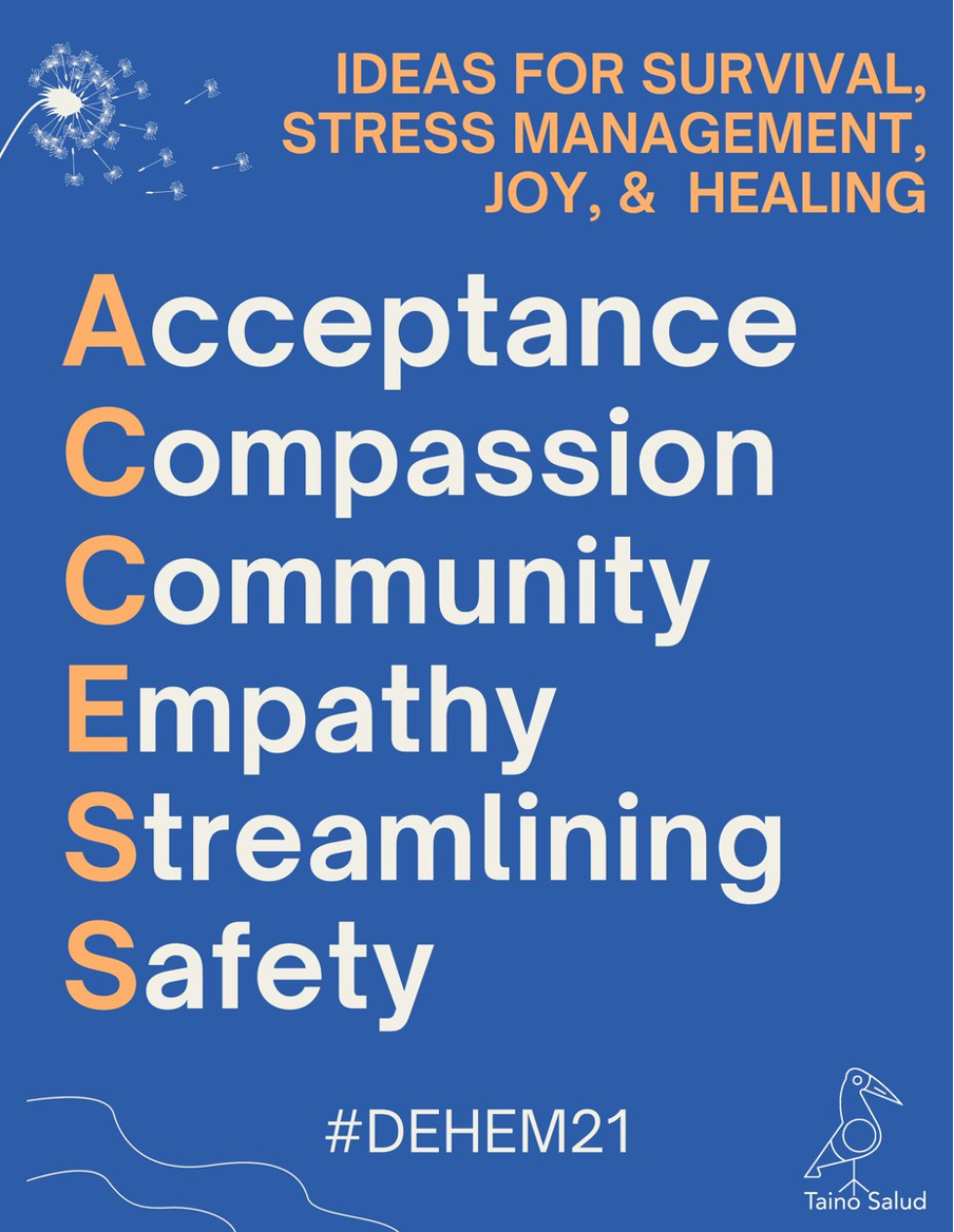 Light blue background. Image on top left of a dandelion with seeds flying off to the right. Title Text: IDEAS FOR SURVIVAL, STRESS MANAGEMENT, JOY, & HEALING. Below reading vertically is the acronym ACCESS. Reading each letter horizontally: Acceptance, Compassion, Community, Empathy, Streamlining, Safety. #DEHEM 21. Bottom left: 2 curvy lines that look like running water. Bottom right: Logo for #TainoSalud (line drawing of a right facing taino bird symbol with TainoSalud written below it, as if the bird is standing on it.)
